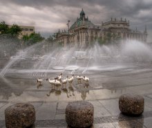 Munich, as geese are not saved / ***
