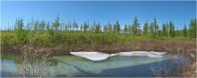 Summer on the Taimyr Peninsula / ***