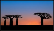 African Sunrises (1) / ***