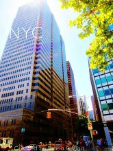 Skyscraper on Blueberry Street. / ***