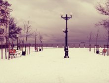 Cold / ***