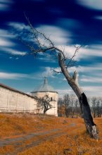 Lonely tree / .........