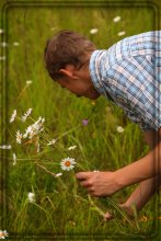 Simply Daisies / ***