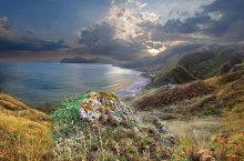 Summer expanses of Cimmeria / ***