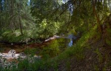 Slow River Forest / ***