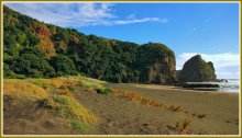 Autumn colors of New Zealand / ***