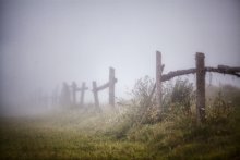July fog / ***