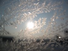 frosty morning / ***