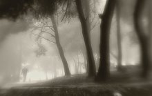 Fog / ---