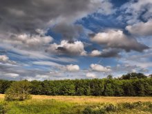 ... Meadows, forests ... / ***