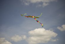 Flight / ***