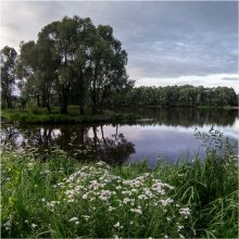SUMMER EVENING ... / ***