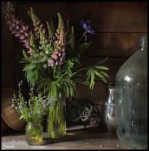 Still life with pink lupine / ***
