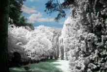 another world / IR foto