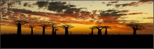 Madagascar Sunset / ...