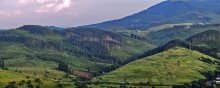 Carpathians. Urban landscape ... / ***