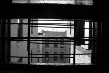 A Brooklyn window / ***