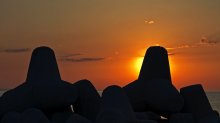 Along the coast of Bulgaria (2) / ***