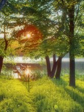 June impression / ***