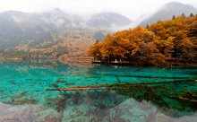 On a red cliff (Jiuzhaigou # 8) / ***