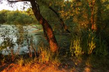 Evening / ***