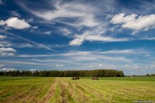 Haymaking / ***