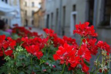 on the streets of Krakow / ***