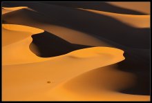 Saharan sand dunes ... / ***