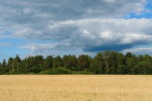 Colors of Smolensk. / ***
