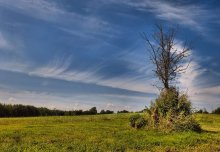 Cirrus ... and lonely ... / ***