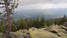 Carpathians / ***