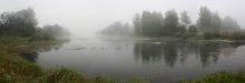 Fog on the pond. / ***
