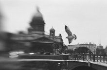 Petersburg time / ilford HP5/lensbaby