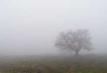 In the fog / ...