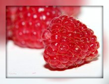 Winter raspberries / **************