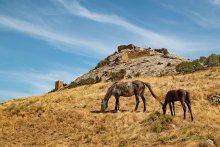 Genoese fortress / ***