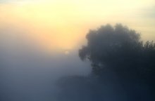 The sun in the fog ... / ***