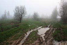 Spring fog on a rural road. / ***