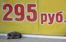 Red price ... and the cat now how much? / ***