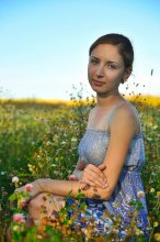 In the daisy field / ***