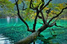 Shuzheng Lake &amp; Waterfalls / ***