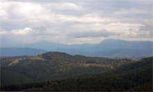 Beauty of the Carpathian Mountains / *****