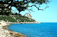 Sea / ***