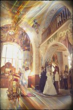 wedding / ***
