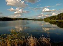 The pond / ***