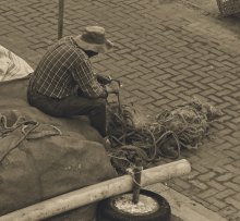 Fisherman / ***