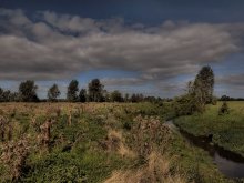 Among the fields ... 2 ... / ***