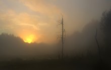 Misty Evening / 04 09 12