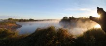 Cat on a foggy river ... / ***