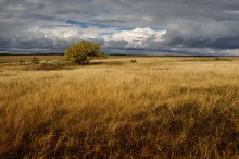 Autumn field / Autumn field